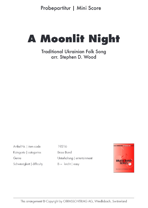 A Moonlit Night - click here