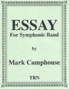 Essay - click here