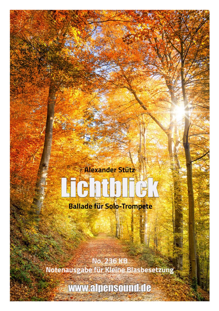Lichtblick - click here