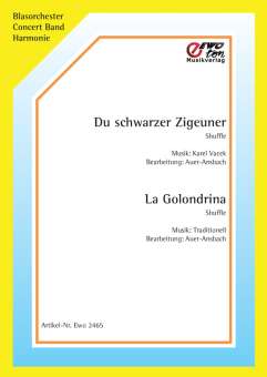 Du schwarzer Zigeuner (Cik�nka) - click here