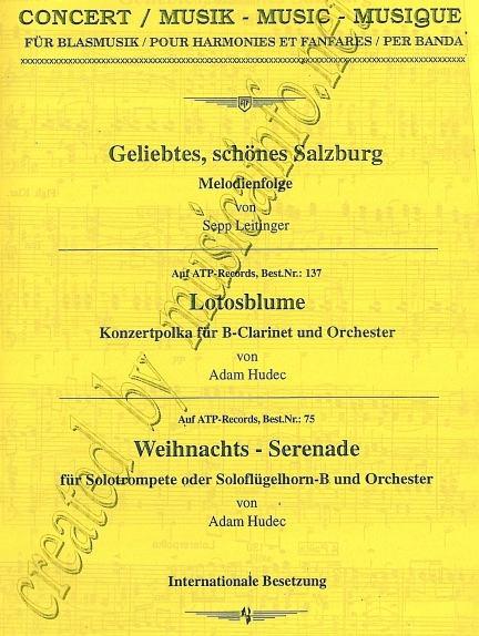 Weihnachts-Serenade - click here