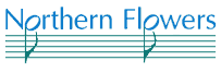 Northern Flowers - click here